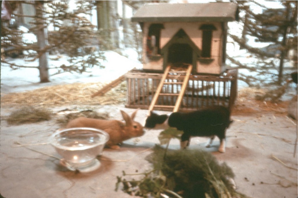 Scene From The Raw Egg Animal Theatre At The Farm: Buck Meets The Cat © 1976 Bonnie Ora Sherk