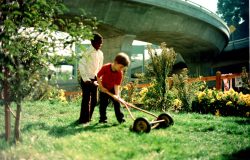 Scene From Crossroads Community (the farm): Boys Mowing The Lawn Next To The Freeway © 1976 Bonnie Ora Sherk