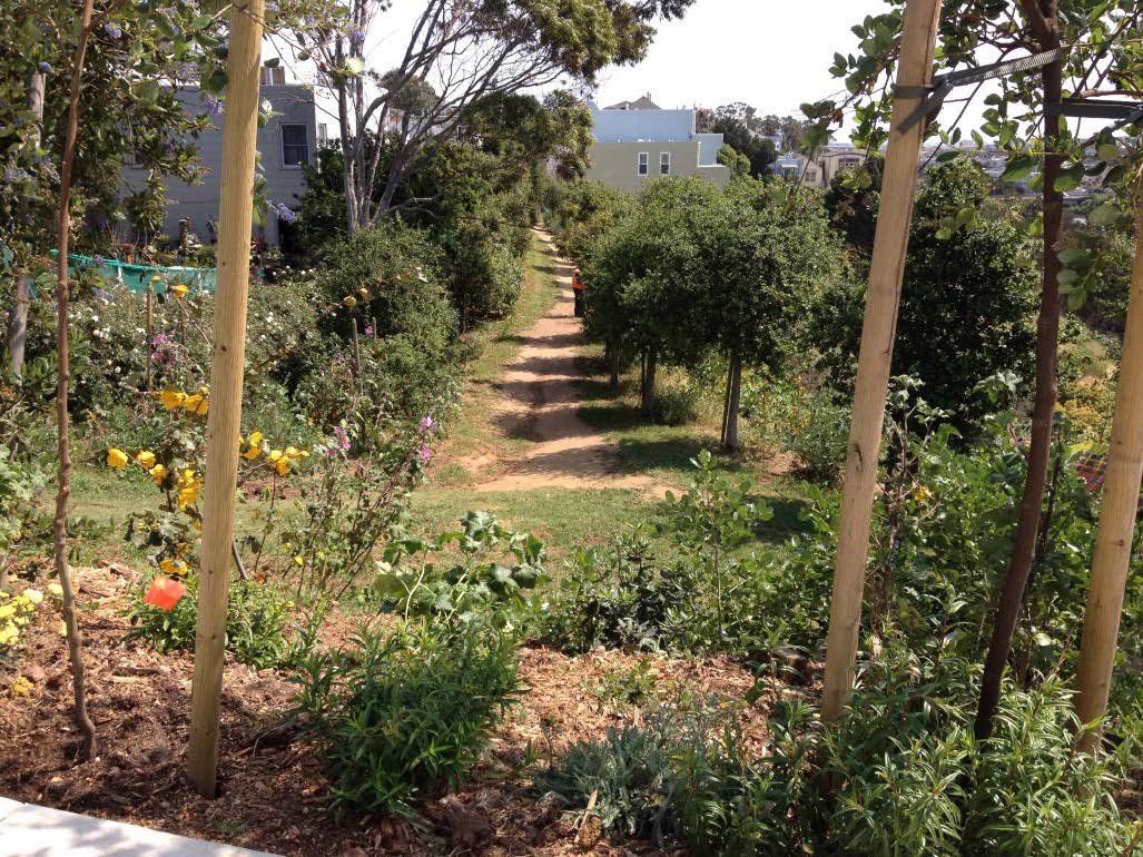 Bernal Heights Living Library & Nature Walk