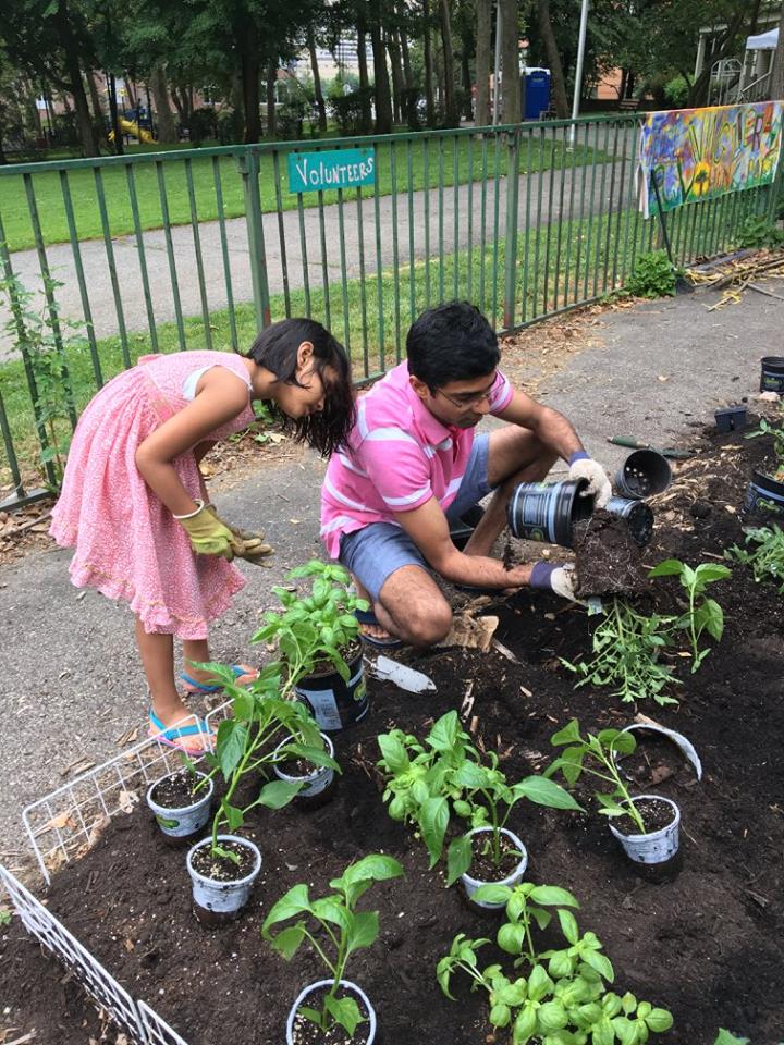 Volunteers planting trees in RI Living Library & Think Park on Roosevelt Island Day, June 17, 2017