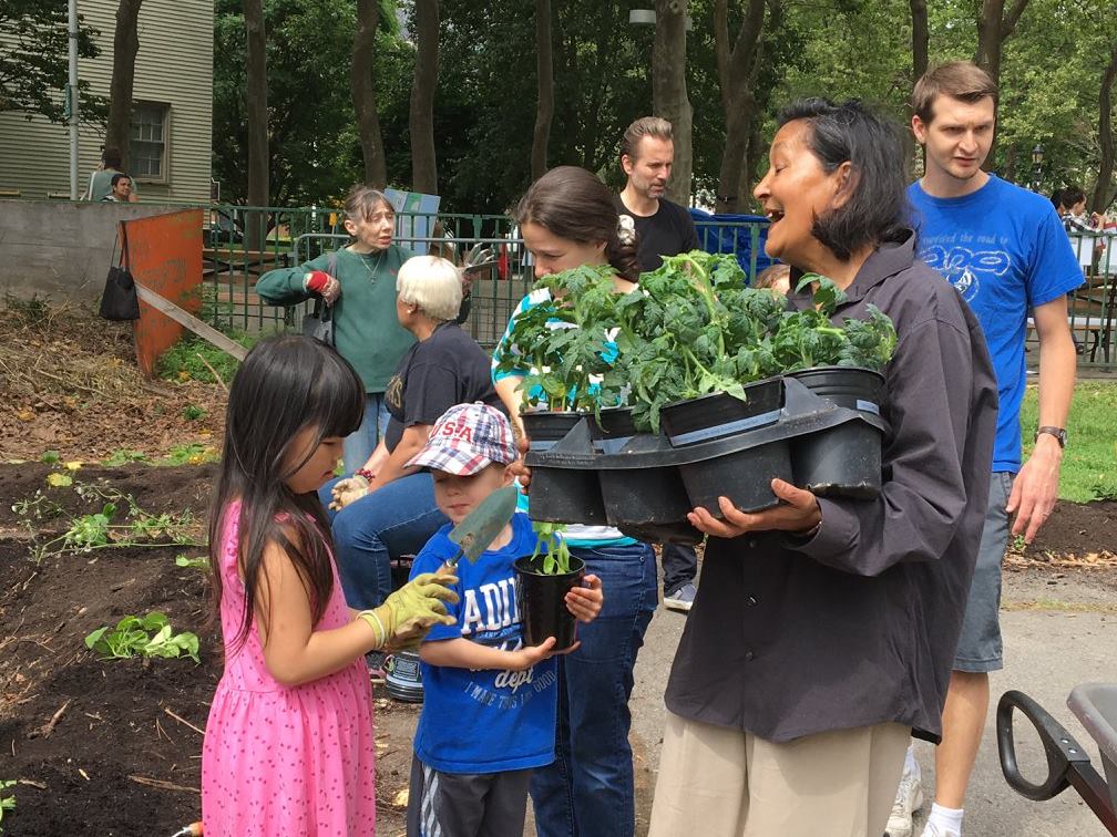 Roosevelt Island Living Library & Think Park on Roosevelt Island Day 2017