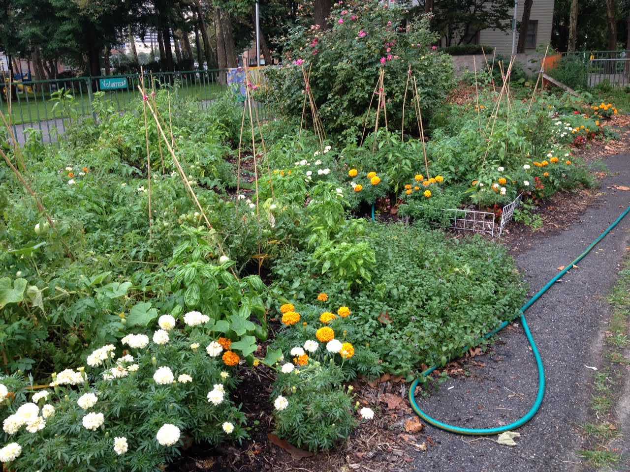 Roosevelt Island Living Library & Think Park