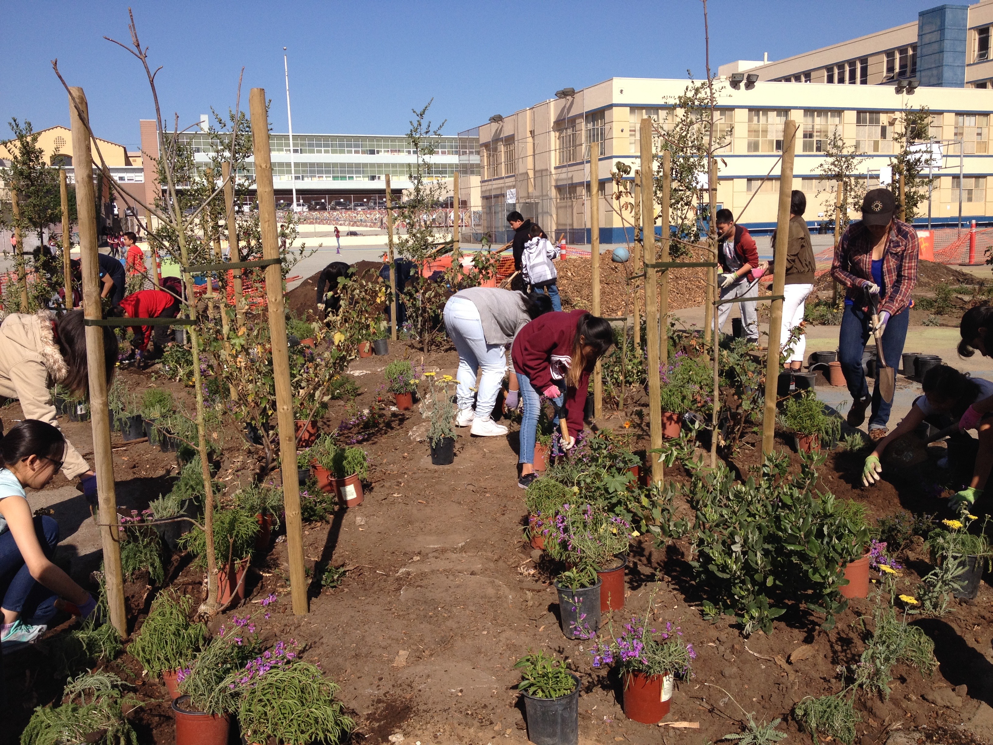 A Living Library works with all 6th, 7th, and 8th Grade Science Classes during the school day in hands-on learning.