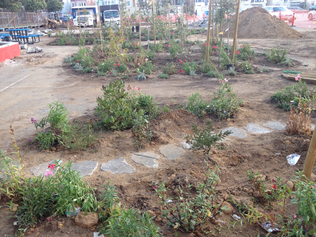 Developing new Rain Gardens will allow water to permeate into the aquifer, while creating new habitat for diverse species, all linked with integrated hands-on learning for PreK-12 students.