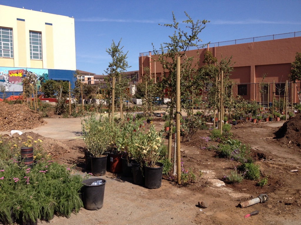 Rear Yard of James Denman Middle School