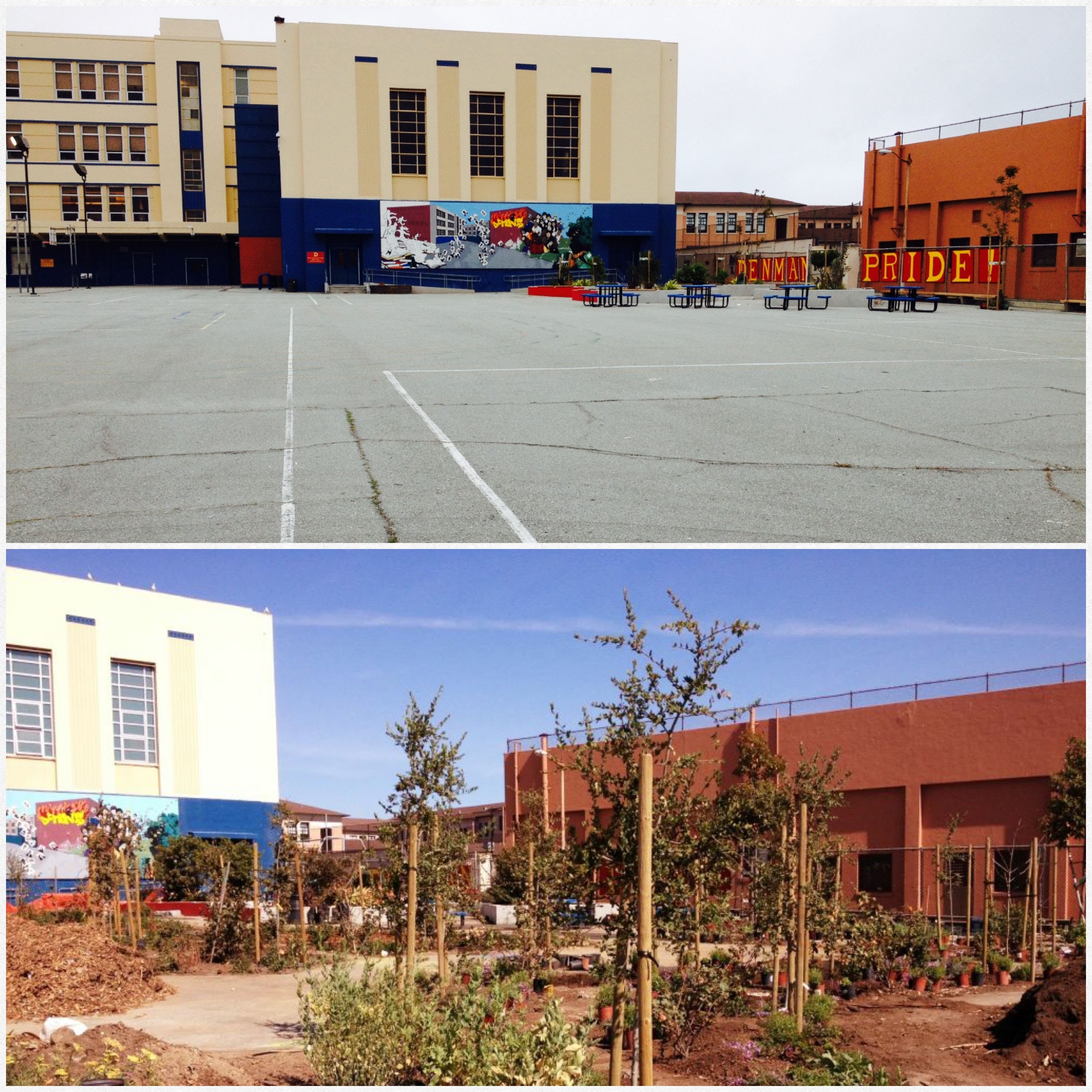 Transformation at Rear Yard of James Denman Middle School