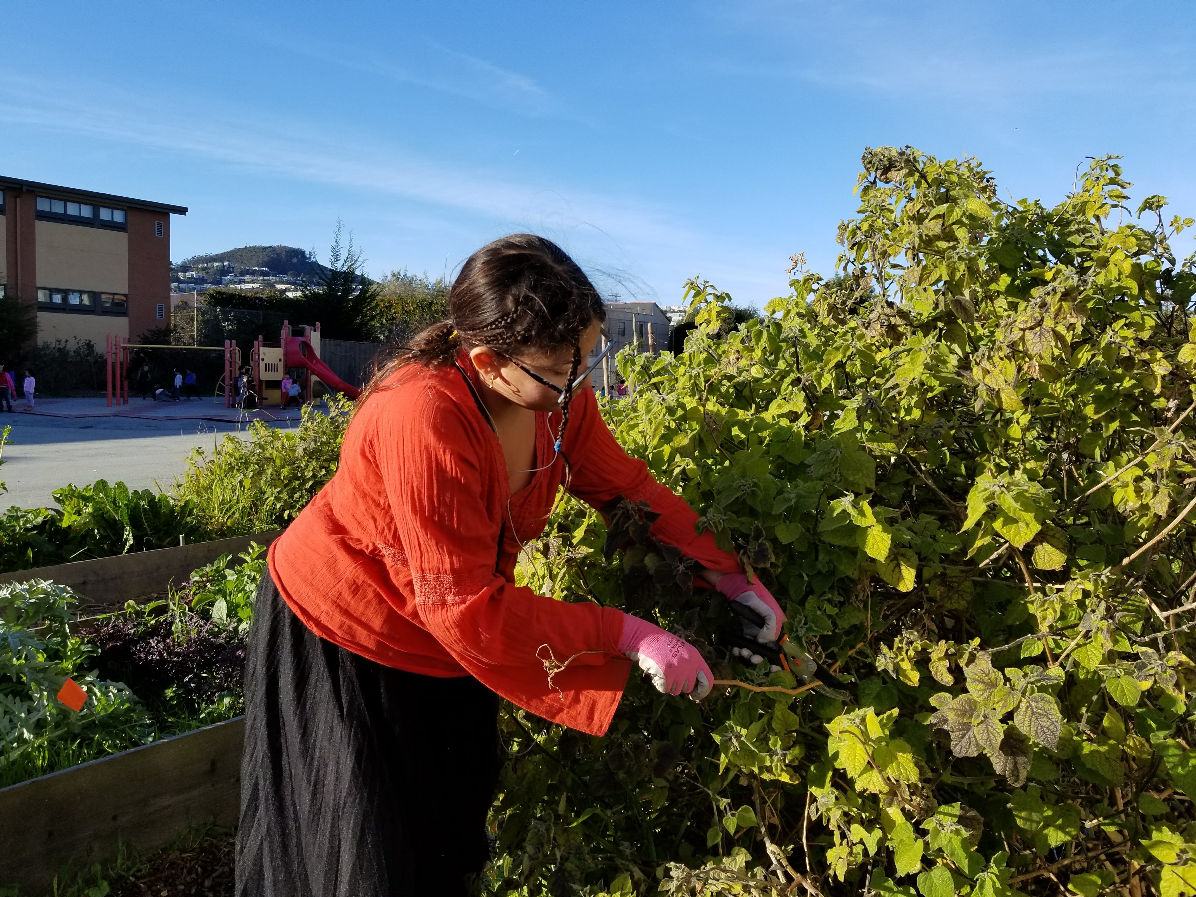 Students at A.L.L. Green Futures Paid Internship Pogram