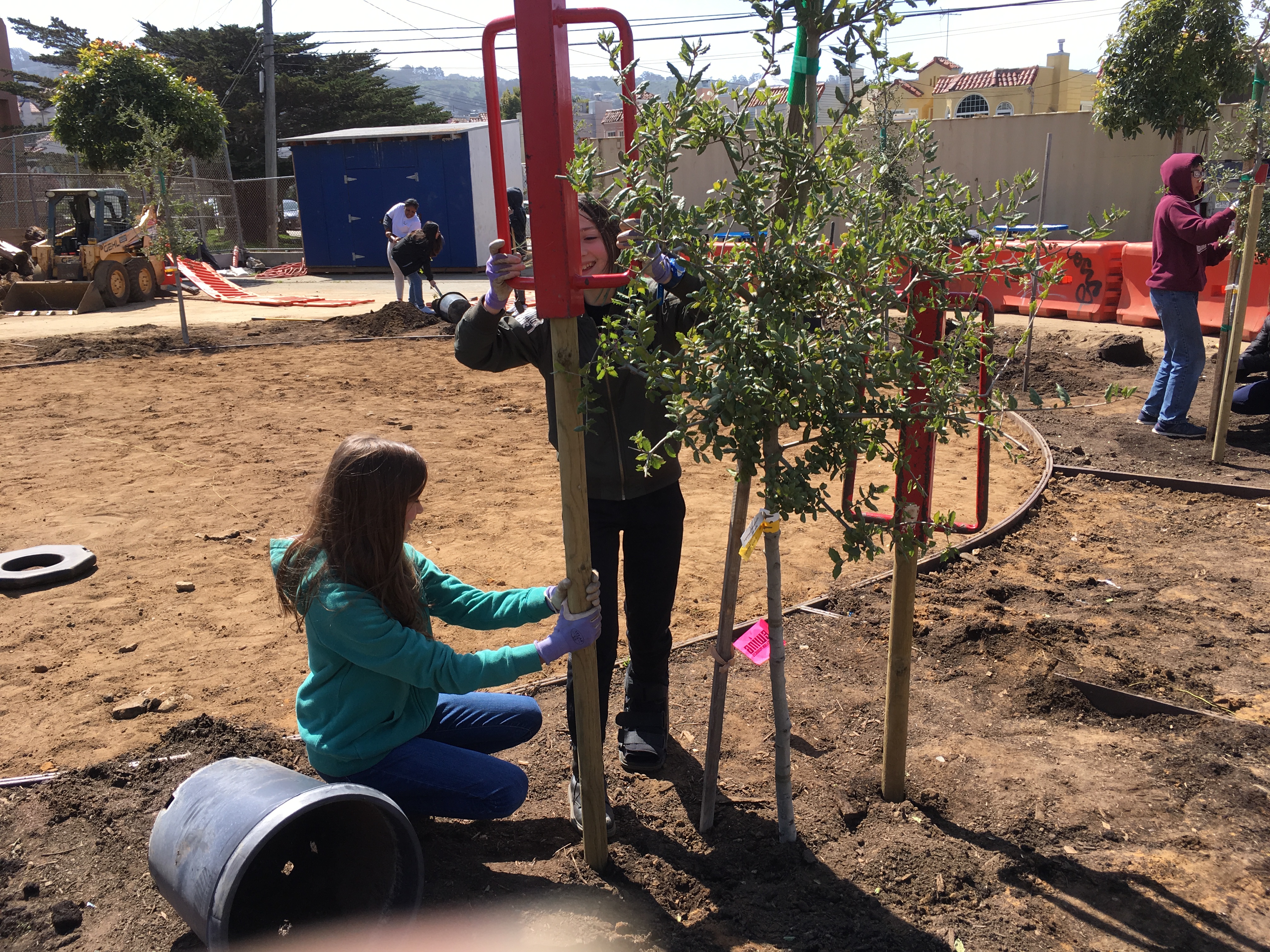 Students using the stake pounder to put in the tree stakes