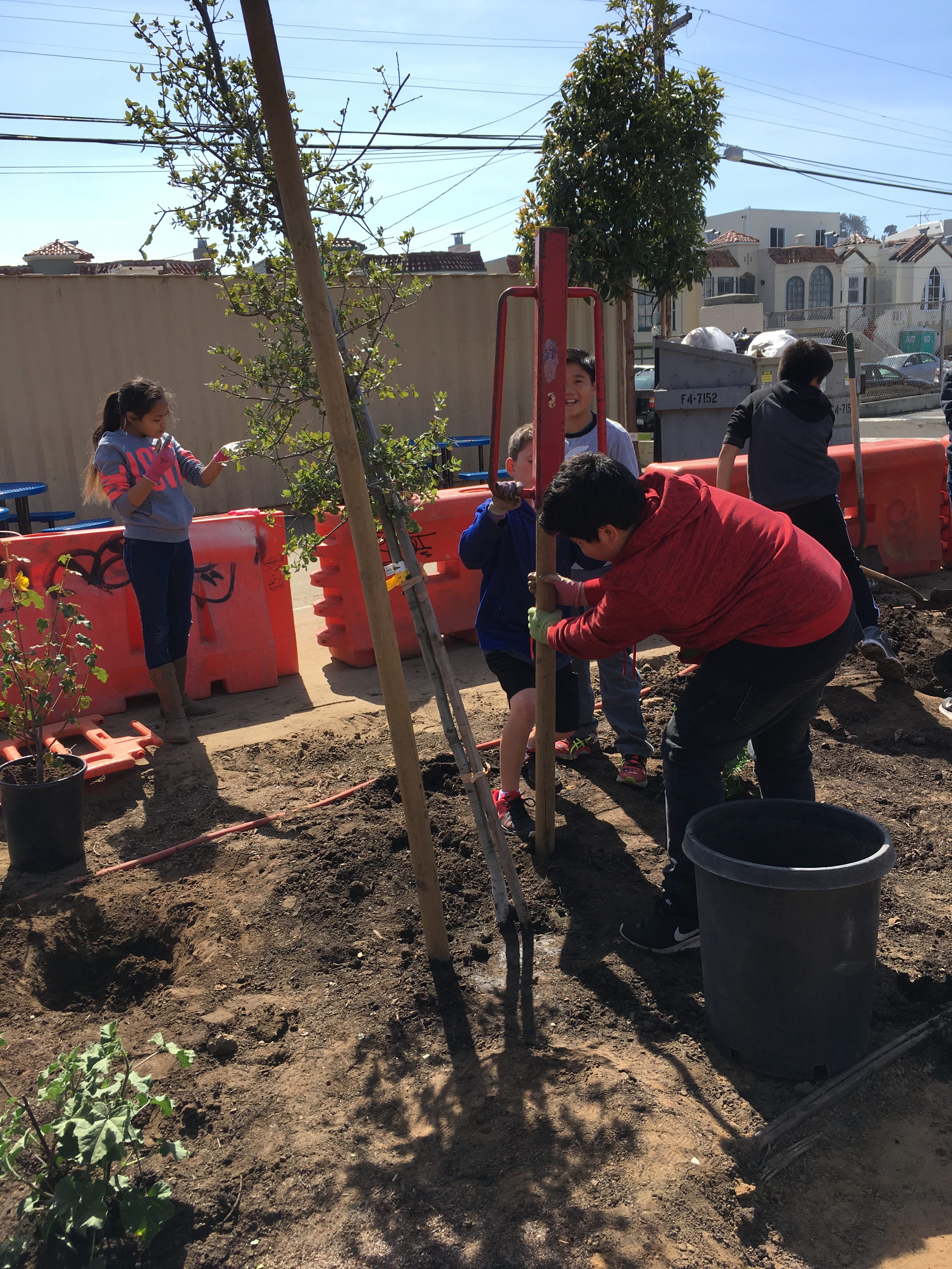 students using the stake pounder to put in the tree stakes