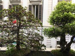 View from Lucia Ranabaldo and Enrico Bonnante’s kitchen in Torino