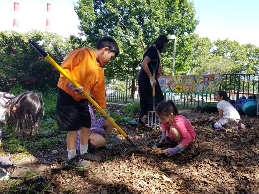 Learning to use the tools in RI Living Library & Think Park