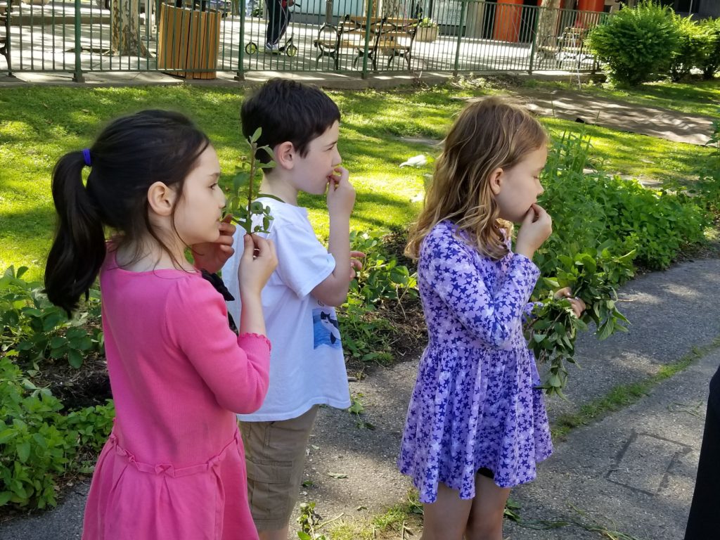 Learning about plants at RI Living Library & Think Park