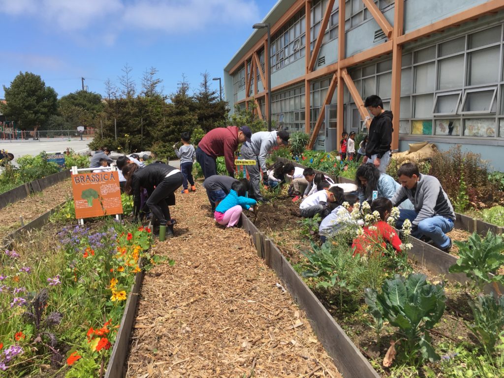 Volunteer day in OMI/ Excelsior Living Library & Think Park