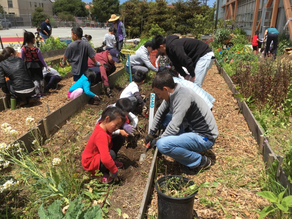 Young people with caring adults create a more ecological environment in their school-yard, neighborhood, and community