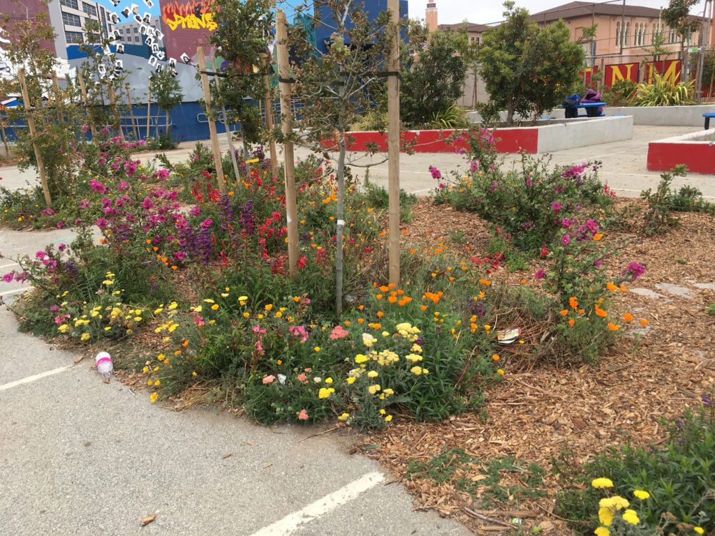 Rear Yard of James Denman Middle School