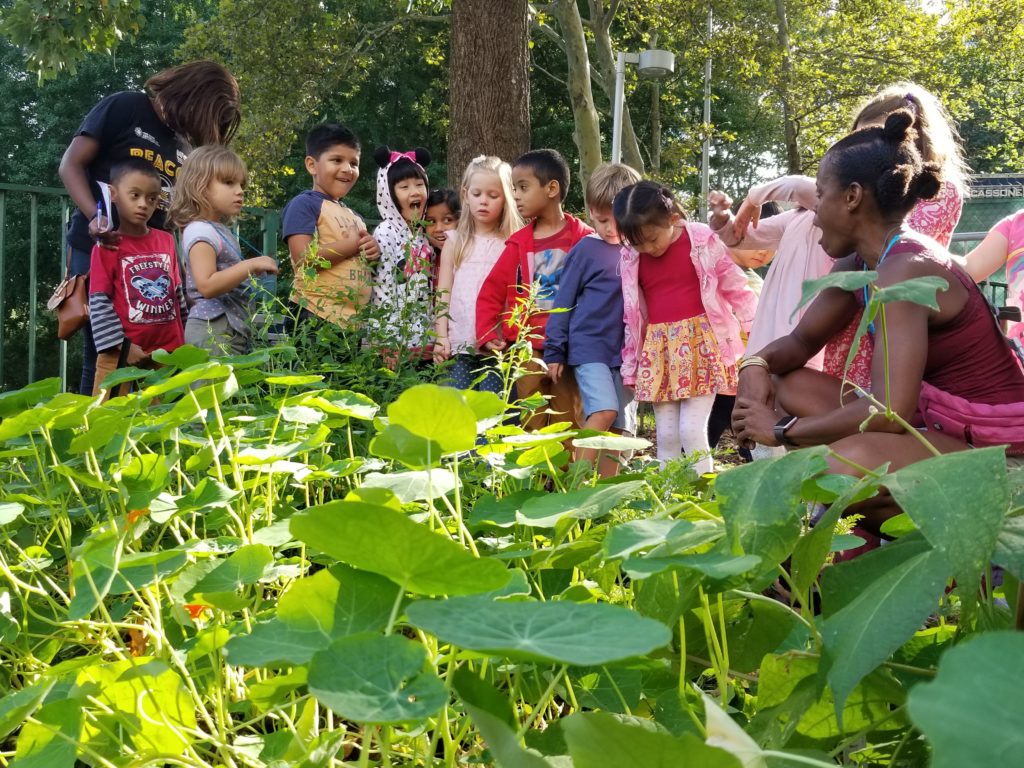 RI Living Library & Think Park