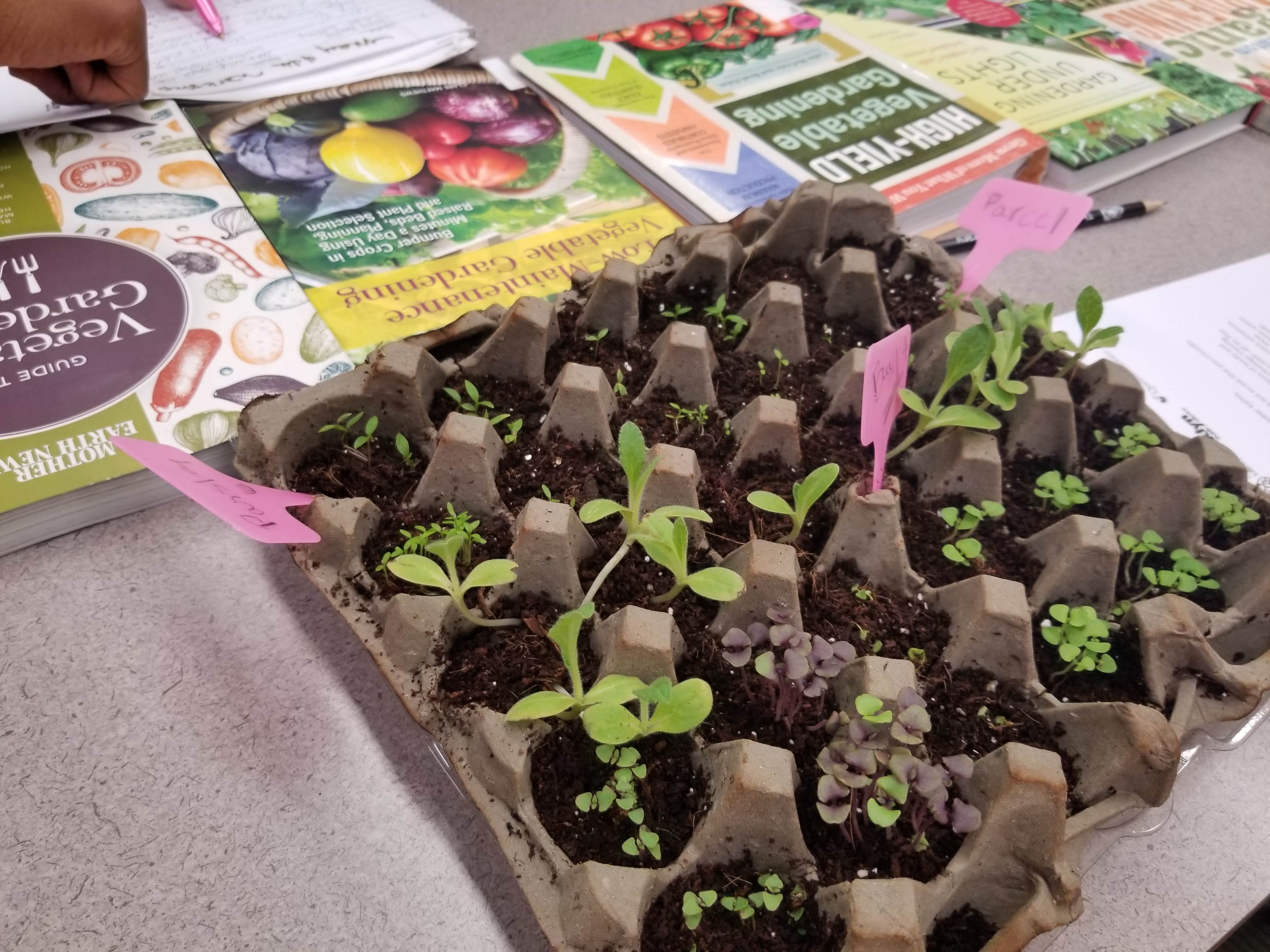 Free monthly organic gardening workshop in RI Public Library