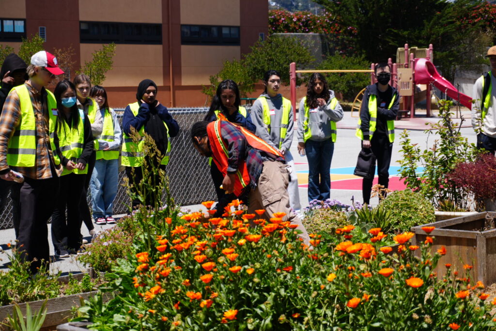 Interns 06 2024 Red Flowers