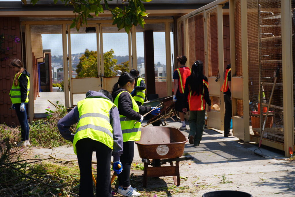 Interns 06 2024 Shed