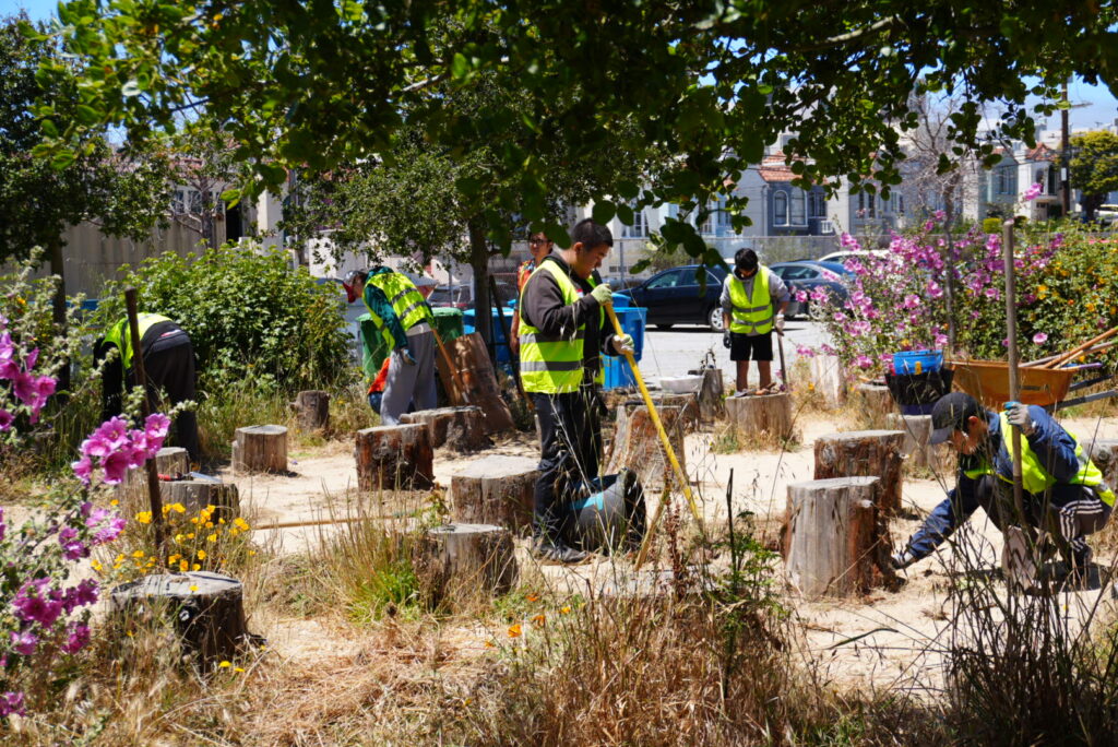 Interns 06 2024 Stumps Digging