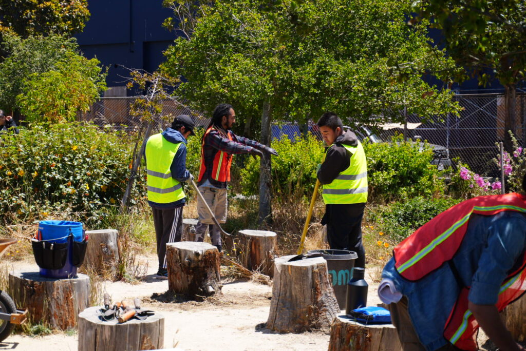 Interns 06 2024 Stumps Jd