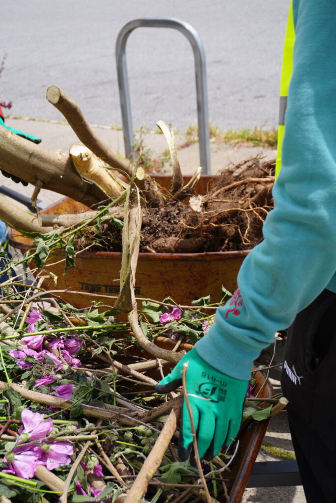 Interns 06 2024 Wheelbarrow Hand