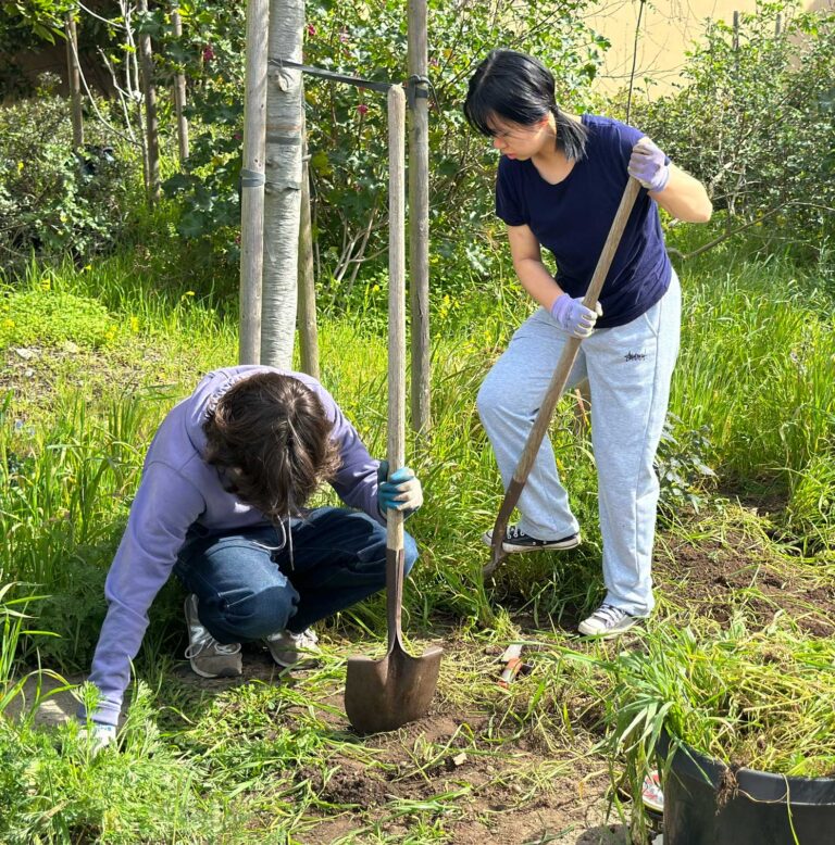 Clearing weeds at SF OMI/Excelsior Branch, Spring 2025
