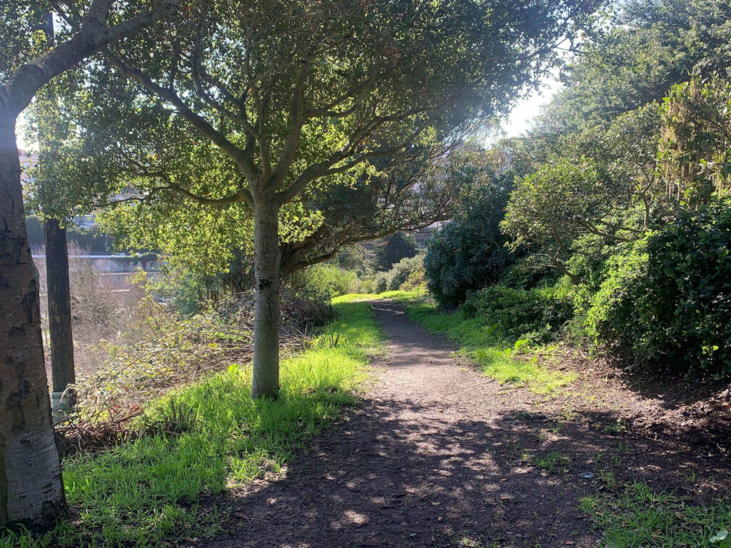 Img 7492 min imresizer