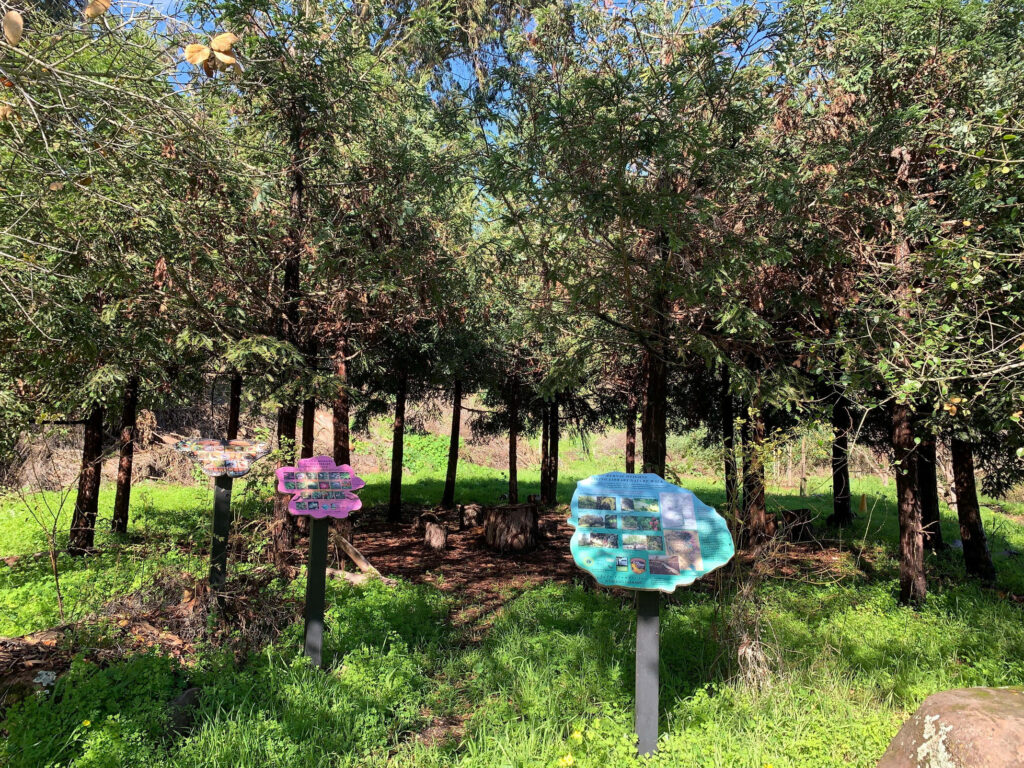 Img 7512 min imresizer