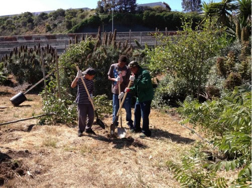 Nature walk planting 1