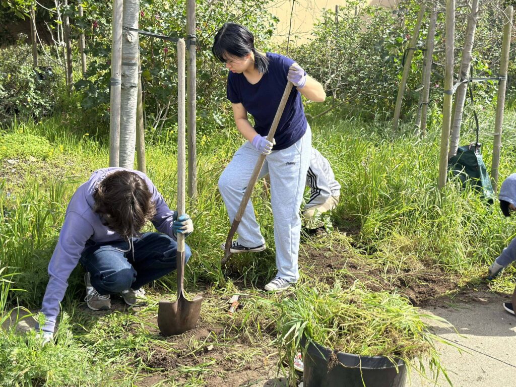 Img 6824 min optimized 1500