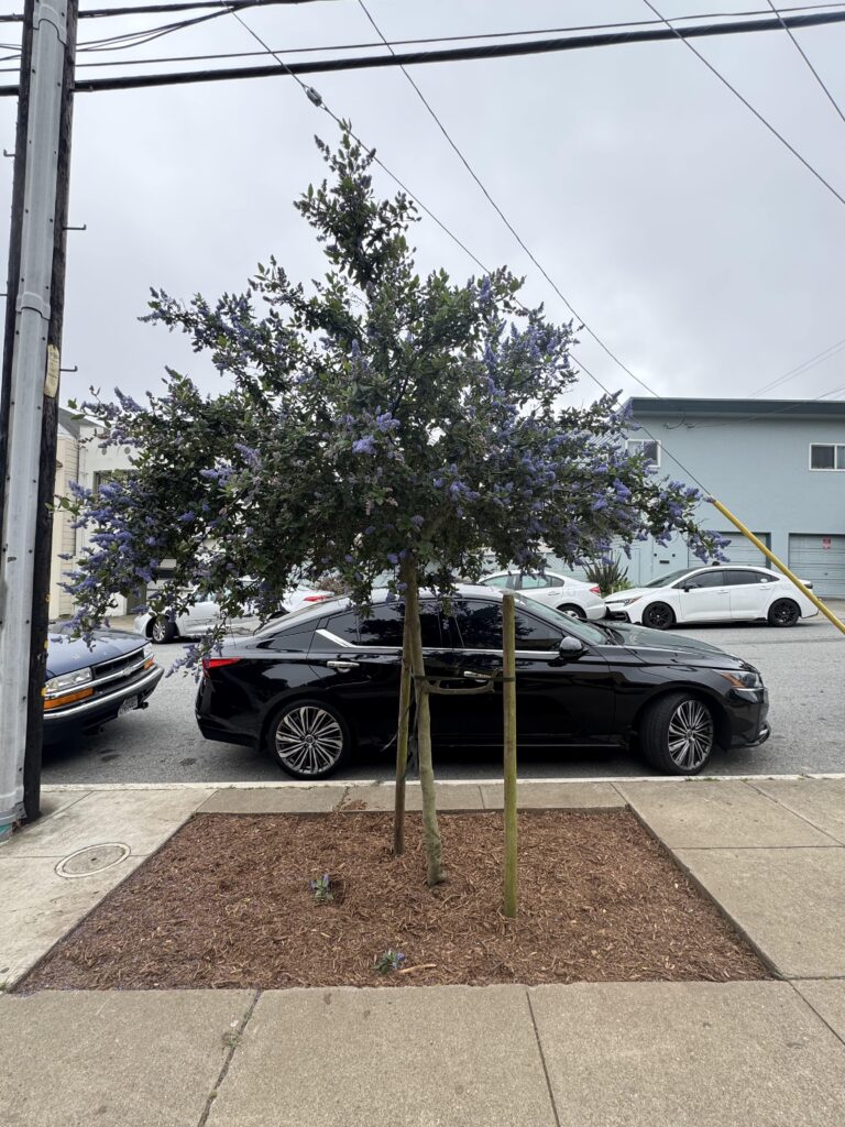 Post 1 (1) april min